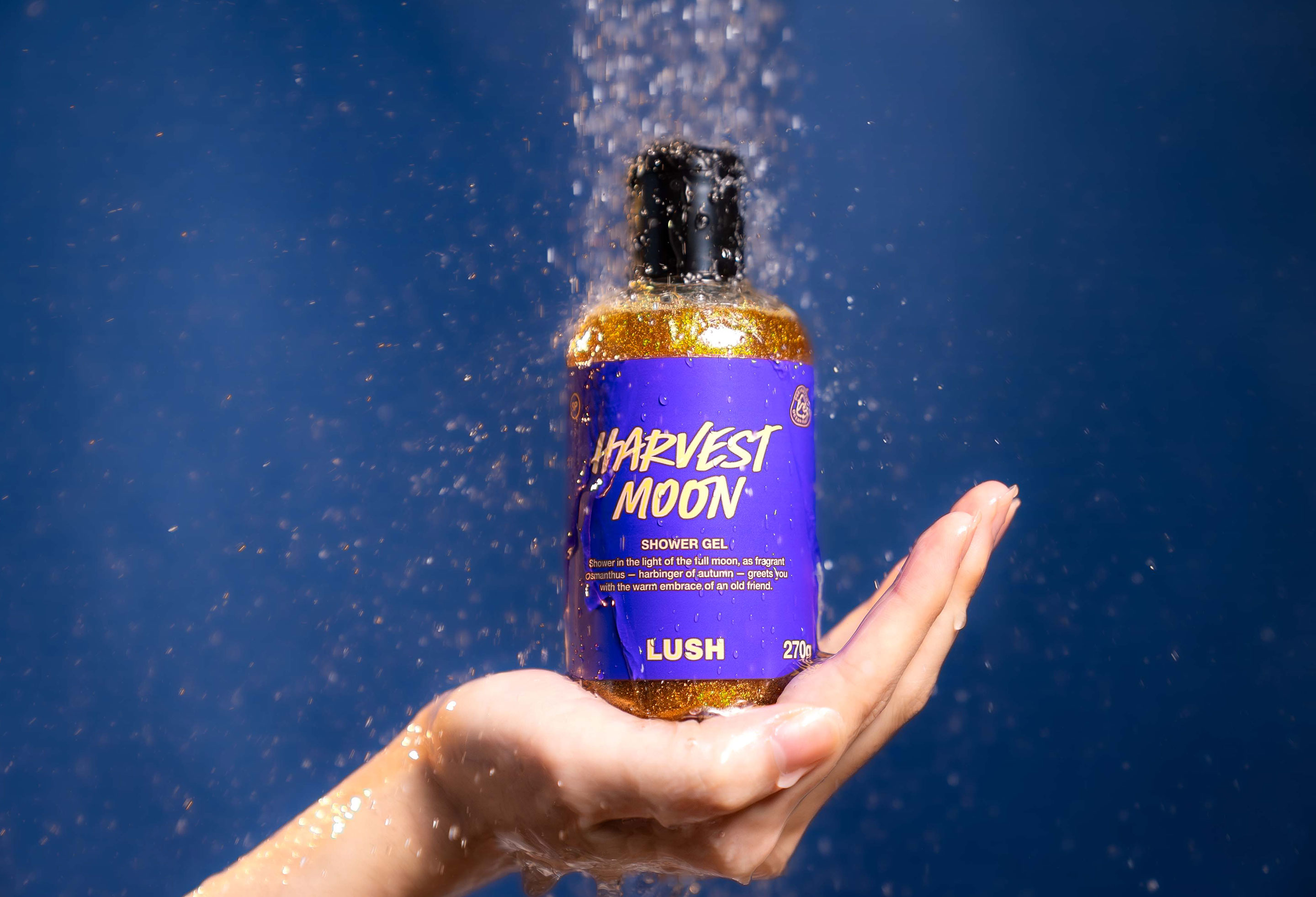 新商品 | シャンプー・入浴剤・ボディソープ 他 | LUSH | LUSH